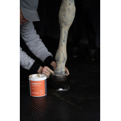 Klei Alodis Care Tendi Flash Klei Alodis Care Tendi Flash