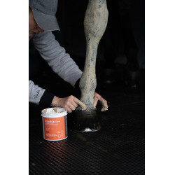 Klei Alodis Care Tendi Flash Klei Alodis Care Tendi Flash