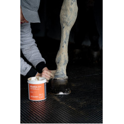 Klei Alodis Care Tendi Flash Klei Alodis Care Tendi Flash