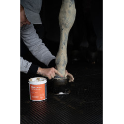 Klei Alodis Care Tendi Flash Klei Alodis Care Tendi Flash