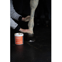 Klei Alodis Care Tendi Flash Klei Alodis Care Tendi Flash