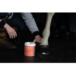 Klei Alodis Care Tendi Flash Klei Alodis Care Tendi Flash