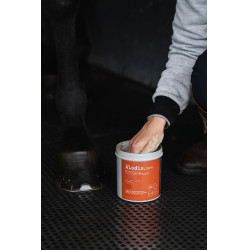 Klei Alodis Care Tendi Flash Klei Alodis Care Tendi Flash