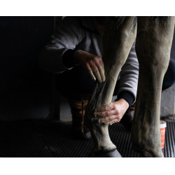 Klei Alodis Care Tendi Flash Klei Alodis Care Tendi Flash