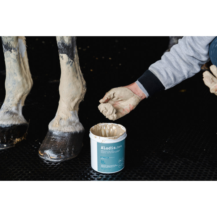 Arcilla calefactora ALODIS CARE Hot Cata Arcilla calefactora ALODIS CARE Hot Cata