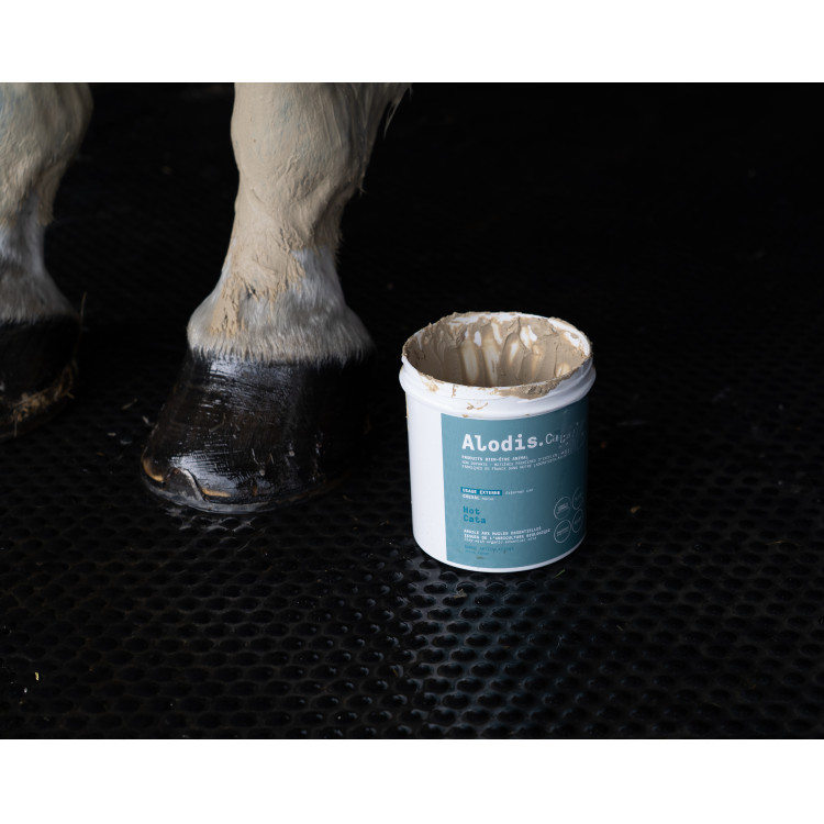 Arcilla calefactora ALODIS CARE Hot Cata Arcilla calefactora ALODIS CARE Hot Cata