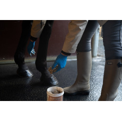 Arcilla ALODIS CARE Hoof Clay