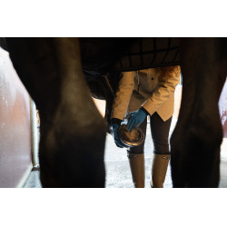 Arcilla ALODIS CARE Hoof Clay