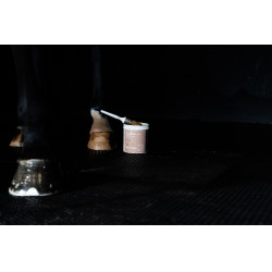 Bálsamo para cascos ALODIS CARE Sabot Soin