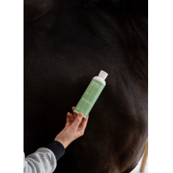 Gel Alodis Care Gel Antichoque Gel Alodis Care Gel Antichoque