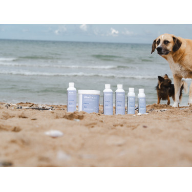 Aceite Alodis Care Cani Recup Aceite Alodis Care Cani Recup