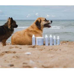 Aceite Alodis Care Cani Recup