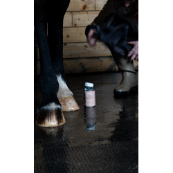 Aceite ALODIS CARE Fourchette Clean Aceite ALODIS CARE Fourchette Clean