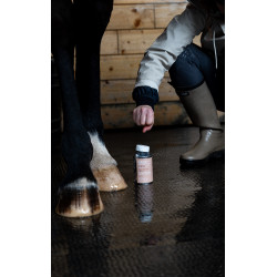 Aceite ALODIS CARE Fourchette Clean Aceite ALODIS CARE Fourchette Clean