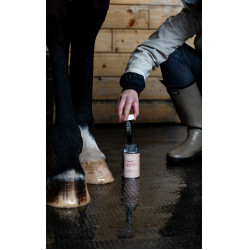 Aceite ALODIS CARE Fourchette Clean Aceite ALODIS CARE Fourchette Clean