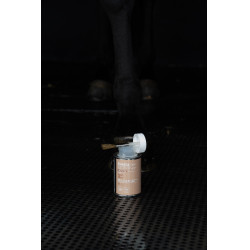 Aceite ALODIS CARE Hoof Choc