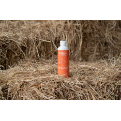 Huile Alodis Care Work Recup