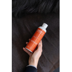 Huile Alodis Care Work Recup