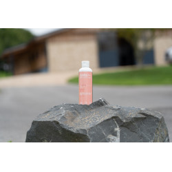 Aceite de masaje Alodis Care Digest Recup Aceite de masaje Alodis Care Digest Recup