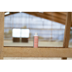 Aceite de masaje Alodis Care Digest Recup Aceite de masaje Alodis Care Digest Recup