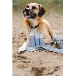 Champú Alodis Care Cani Soap para perro