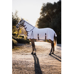 Cubierta, cuello y máscara antimoscas Horze La Paz Ciruela negra Violeta Cubierta, cuello y máscara antimoscas Horze La Paz Ciruela negra Violeta