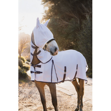 Cubierta, cuello y máscara antimoscas Horze La Paz Ciruela negra Violeta Cubierta, cuello y máscara antimoscas Horze La Paz Ciruela negra Violeta