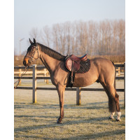 Alfombra GEM Love Azul Francia