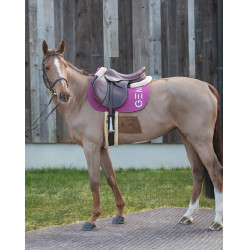 Alfombra GEM Ten Frambuesa Rojo