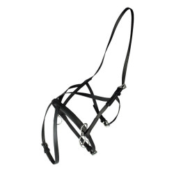 Cabezada de cuadra Finn-Tack Pro carrera
