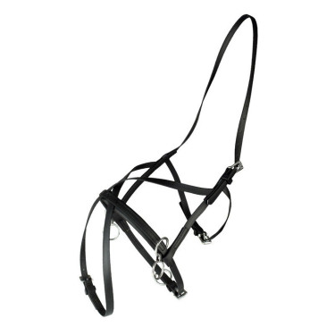 Cabezada de cuadra Finn-Tack Pro carrera