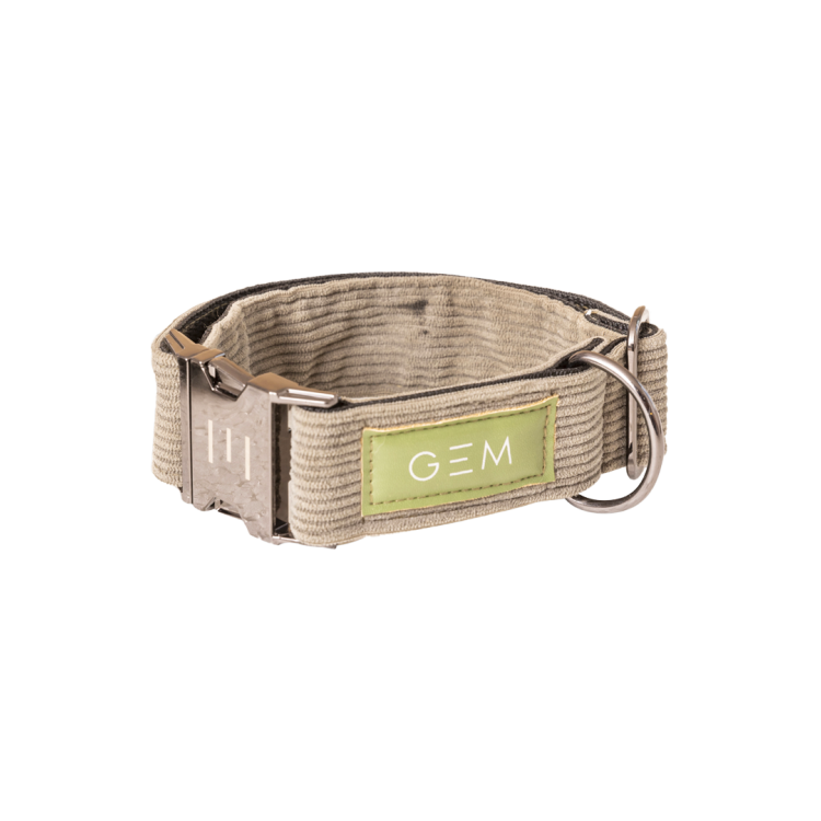 Collar GEM perro