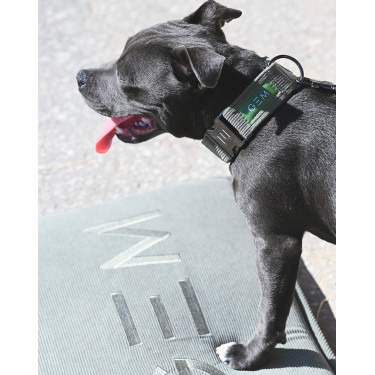 Collar GEM perro Caqui Collar GEM perro Caqui