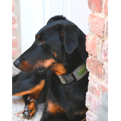 Collar GEM perro Caqui Collar GEM perro Caqui