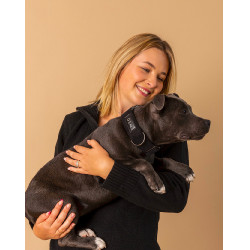 Collar GEM perro Negro Collar GEM perro Negro