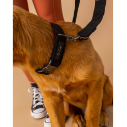Collar GEM perro Negro Collar GEM perro Negro