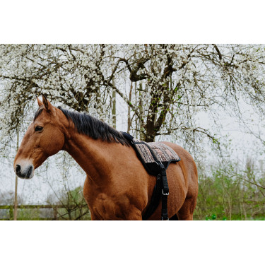 NORTON Kiowa Pad de montar a pelo NORTON Kiowa Pad de montar a pelo