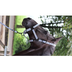 Ramales de amarre LAMI-CELL - Midnight Azul pizarra Ramales de amarre LAMI-CELL - Midnight Azul pizarra