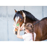 Émouchine Protec Gel RAVENE, bote + esponja