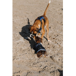 Capa para perro Equithème Eco 600D Capa para perro Equithème Eco 600D