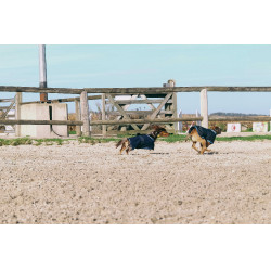 Capa para perro Equithème Eco 600D Capa para perro Equithème Eco 600D