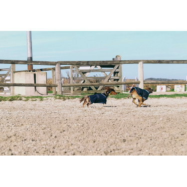 Capa para perro Equithème Eco 600D Capa para perro Equithème Eco 600D