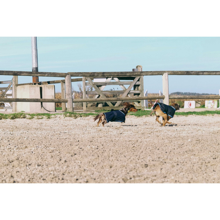 Capa para perro Equithème Eco 600D Capa para perro Equithème Eco 600D