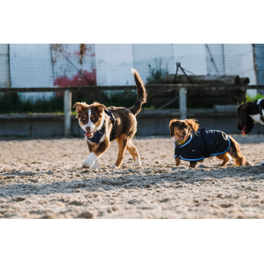 Capa para perro Equithème Eco 600D Capa para perro Equithème Eco 600D