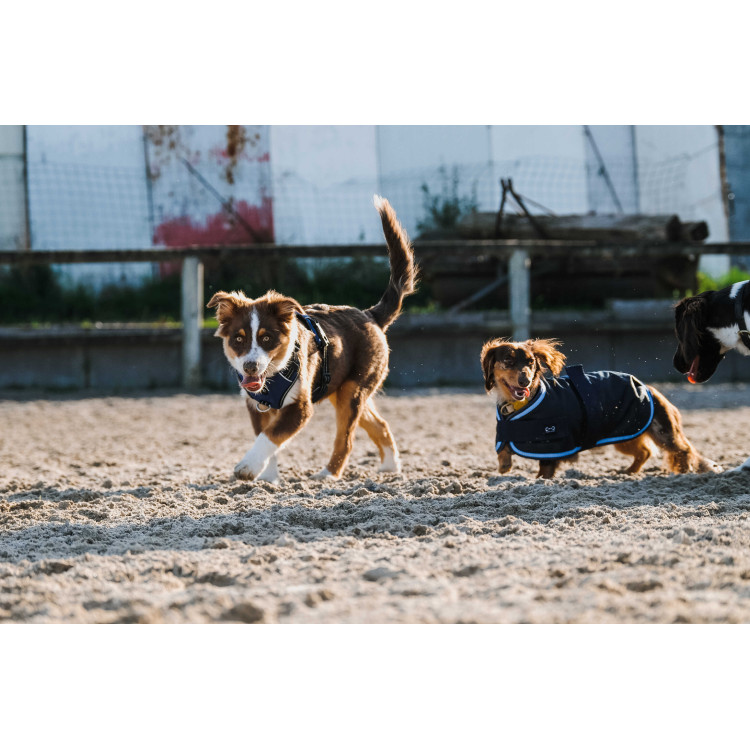 Capa para perro Equithème Eco 600D Capa para perro Equithème Eco 600D