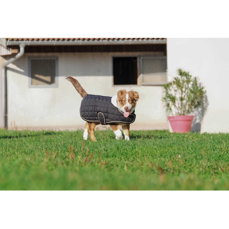 Cobija para perro Te quiero Equithème Cobija para perro Te quiero Equithème