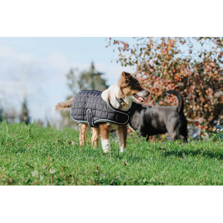 Cobija para perro Te quiero Equithème Cobija para perro Te quiero Equithème