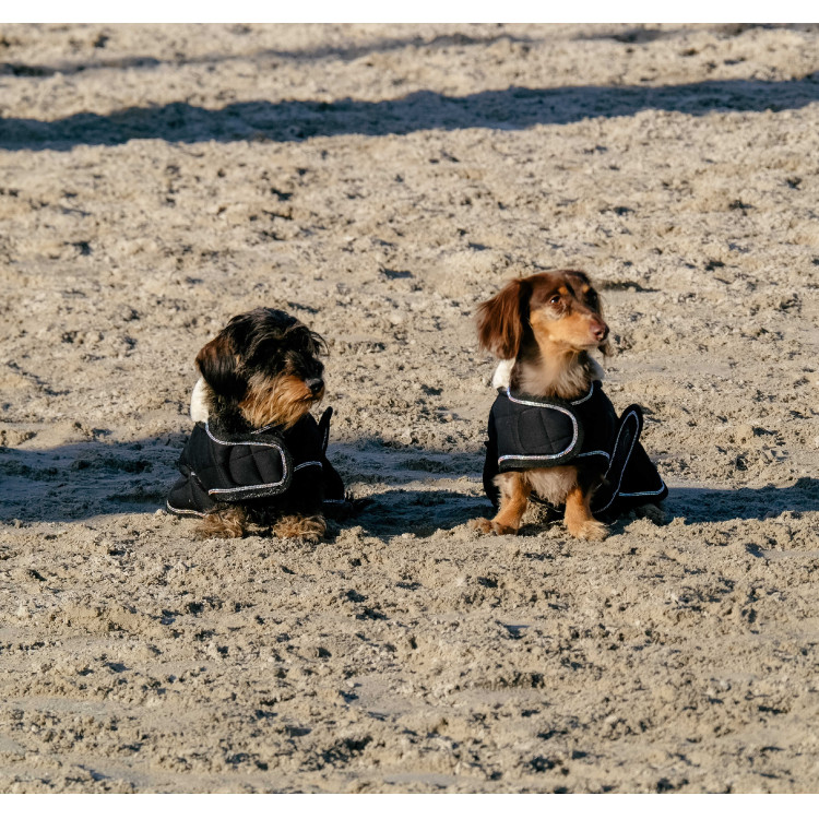 Cobija para perro Te quiero Equithème Cobija para perro Te quiero Equithème