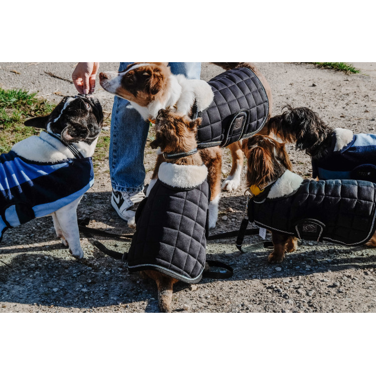 Cobija para perro Te quiero Equithème Cobija para perro Te quiero Equithème