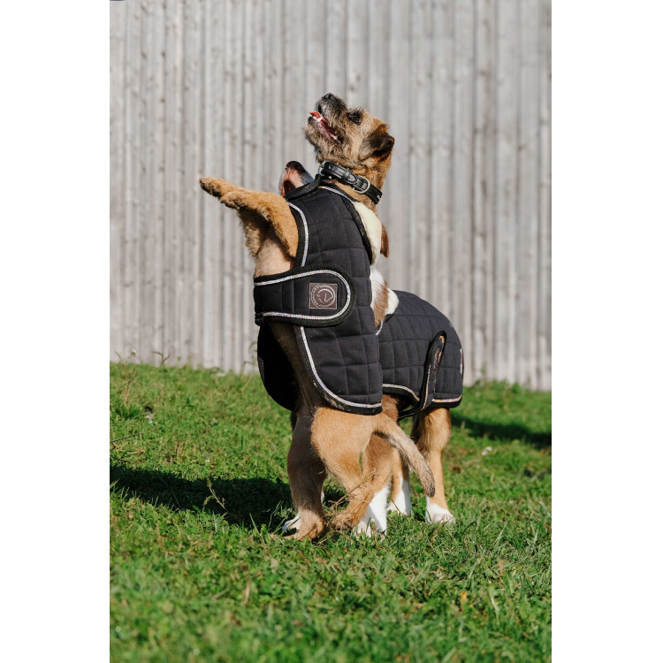 Cobija para perro Te quiero Equithème Cobija para perro Te quiero Equithème